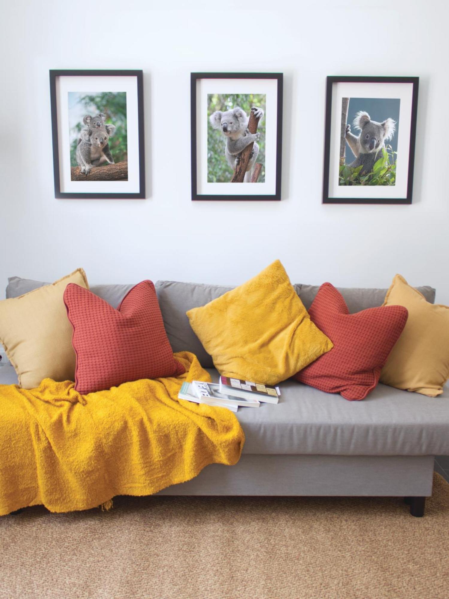 Casa Koala Apartment Pinto Ngoại thất bức ảnh